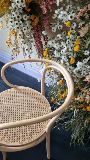 alle Rechte inkl. MD